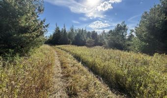 5280 Cathro Rd, Alpena, MI 49707