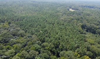 2 Champion Hill Rd, Bolton, MS 39041