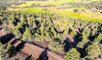 737 Raccoon Ln, Alturas, CA 96101
