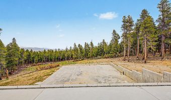 52 Meadowlake Dr, Black Hawk, CO 80422