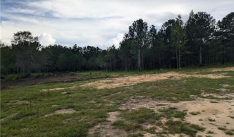 0 Lee Road 393, Auburn, AL 36832
