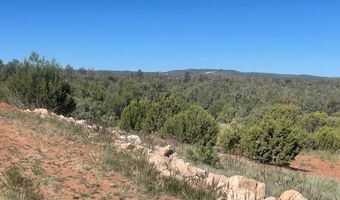 1751 Forest Service Rd 163, Clay Springs, AZ 85923