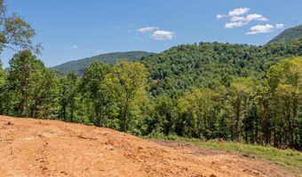 Lot 20 Clear Fork Creek Road, Bastian, VA 24314