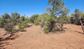 Tbd State Route 260, Clay Springs, AZ 85923