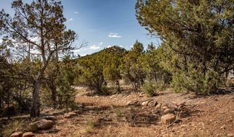 475 Run Around, Arboles, CO 81121