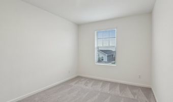 10644 Harlequinn Plan: Ross, Adkins, TX 78101