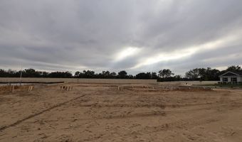 3827 Wolves Creek Pl, Apopka, FL 32712