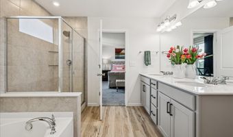 900 Treeline Dr, Algonquin, IL 60102