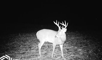 560 Th Ave, Albia, IA 52531