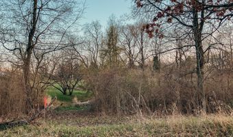 9250 92nd St SE, Alto, MI 49302