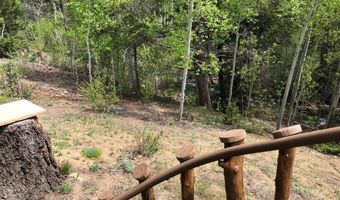 131 County Road 90, Allenspark, CO 80510