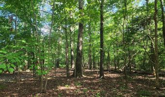 5500 Pisgah Covered Bridge Rd, Asheboro, NC 27205