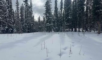 nhn WILLOW Lot 8, FROSTWOODS SUBDIVISION, Plat No. 85-63, Tok, AK 99780