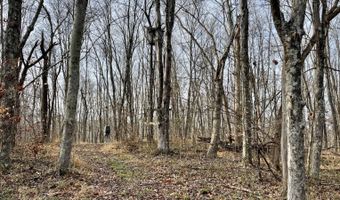 16749 Mush Run Rd, Athens, OH 45701