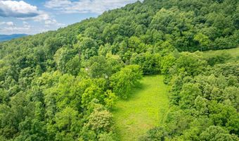 Lot 6 ROCKFISH ORCHARD DR, Afton, VA 22920