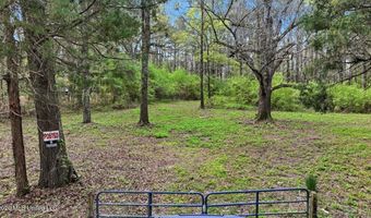 Harrisville Braxton Road, Braxton, MS 39044
