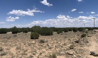 110 Mesa Redondo Ranch Rd, Concho, AZ 85924