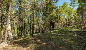 Lot 437 El Camino Real, Angel Fire, NM 87710