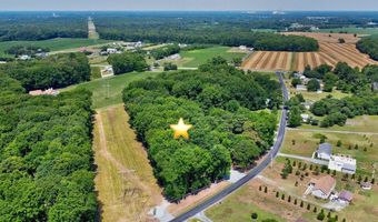 LOT 1 W JONES RD, Frankford, DE 19945