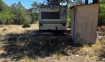 17775 County Road 51, Boncarbo, CO 81024