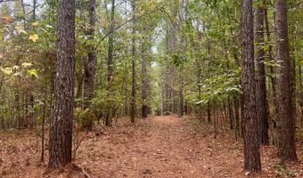 County Road 194, Coffeeville, MS 38922