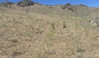 930 Cavelti Rd, Gardnerville, NV 89410