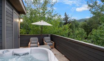 304 S Garmisch St, Aspen, CO 81611