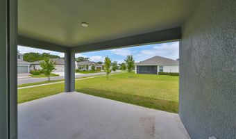 5402 TAGALONG Pl, Apollo Beach, FL 33572