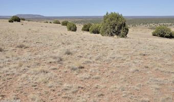 14 CR 5525, Concho, AZ 85924