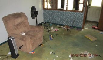 207 Cherry St, Allegan, MI 49010