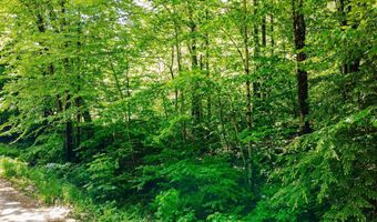 Camp Brook Road lot Map 30 Lot 67A, Alstead, NH 03602