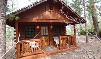 10 County Road 2074, Alpine, AZ 85920