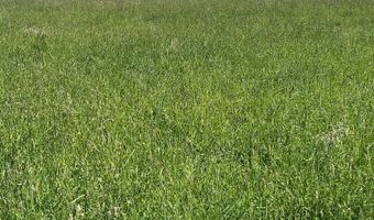 1199 Fire Station Rd S, Ely, NV 89301