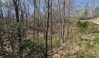 000 Holland Farm Rd, Andrews, NC 28901