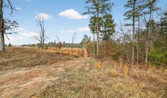 868 County Road 2920, Alba, TX 75410