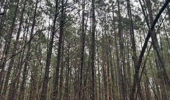 TBD Freeman Rd, Bethune, SC 29009
