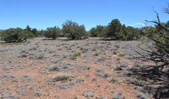 N8604, Concho, AZ 85924