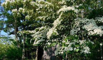 1 Sandy Ln, Bourne, MA 02532