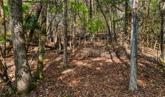 Back Nine Drive lot 13, Baneberry, TN 37890