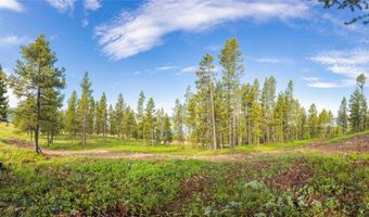 43 Elk Meadows Ln, Anaconda, MT 59711