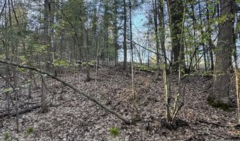 V/L Wildwood Road lot 1, Alger, MI 48610
