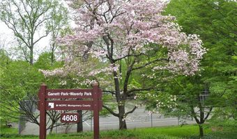 10518 WEYMOUTH St 102, Bethesda, MD 20814