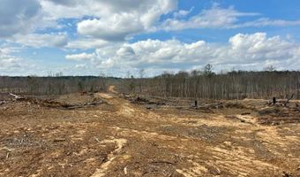 88 County Road 5345, Baldwyn, MS 38824