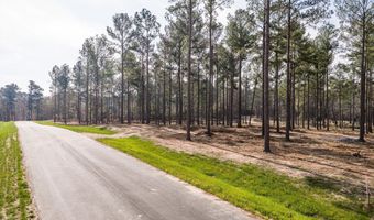 128 Beagle Chase Dr, Appling, GA 30802