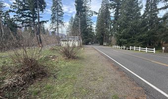 54480 McKenzie River Dr, Blue River, OR 97413