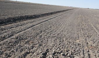 Ave 56, Alpaugh, CA 93201