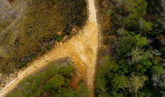 US Hwy 98, Beaumont, MS 39423