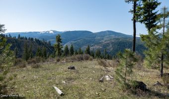 NKA 262 Ac N Side Rd, Calder, ID 83808