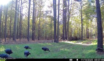 425 Rose Hill Rd, Bentonia, MS 39040