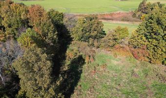 451 County Road 1320, Bardwell, KY 42023